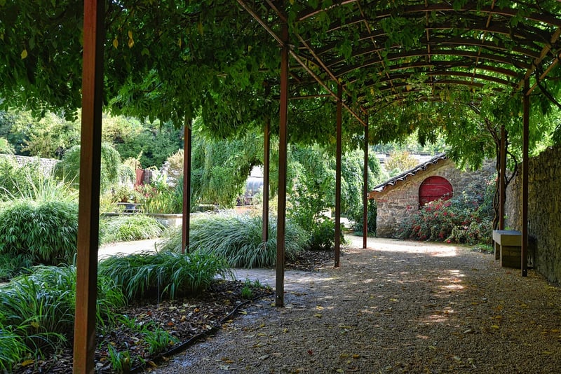 Blossom Arbors
