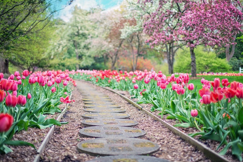 Botanical Parks
