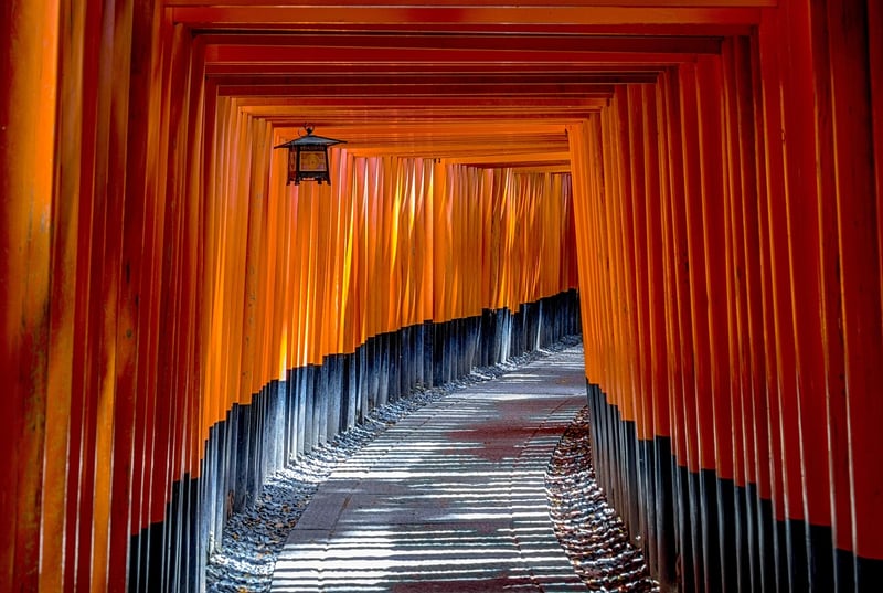 Lantern Pathways